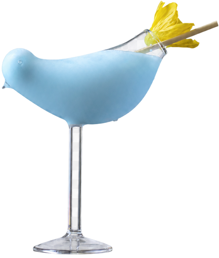 Blue Bird