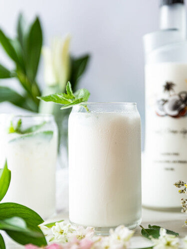 coco mojito